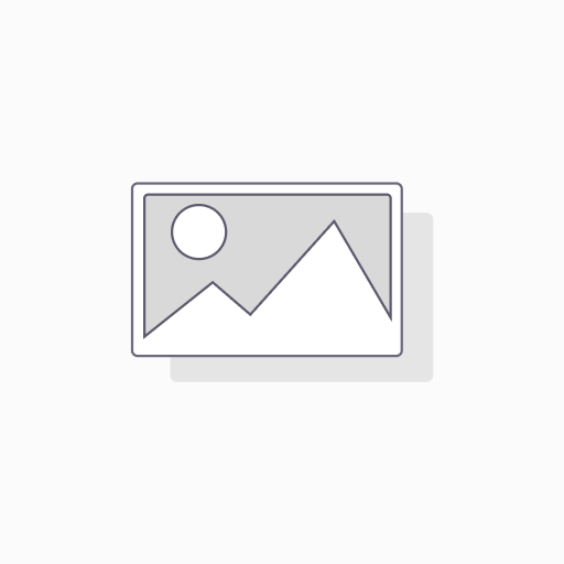 Modul BMA-Ausführungsplanung (DWG) (Abo/Monat)
